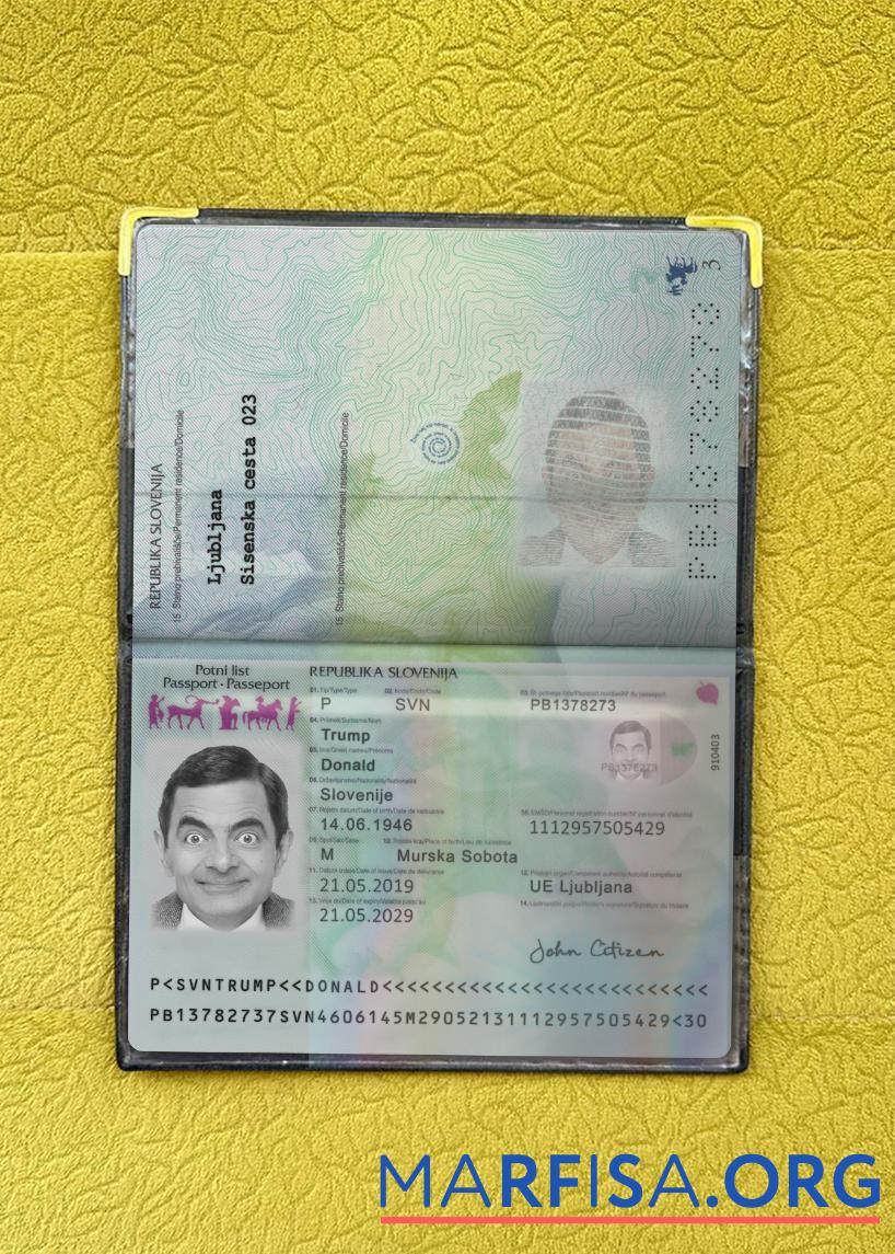 Downloadable Slovenia passport 2019 present photolook download for verification